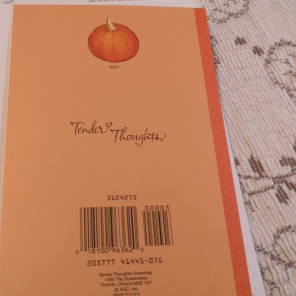Set of 11 Turkey Thanksgiving Cards - Picture 4 of 6